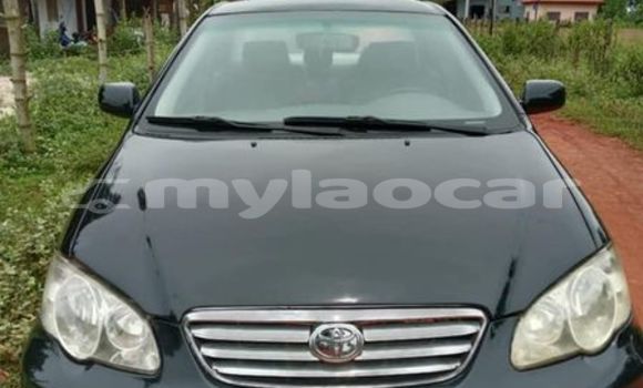 Buy Used Toyota Corolla Black Car in Vientiane in Vientiane Province