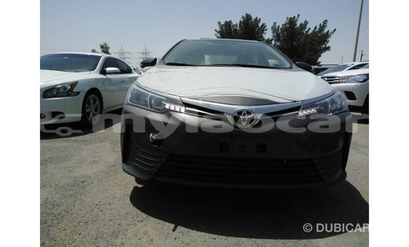 ຊື້ ການ ນຳ ເຂົ້າ Toyota Corolla Other ລົດ ໃນ Import - Dubai ໃນ Attapeu Province ຊື້ ການ ນຳ ເຂົ້າ Toyota Corolla Other ລົດ ໃນ Import - Dubai ໃນ Attapeu Province