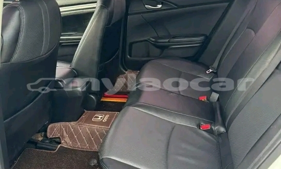 Buy Used BMW 501 Black Car in Samakhixai in Attapeu Province Buy Used BMW 501 Black Car in Samakhixai in Attapeu Province