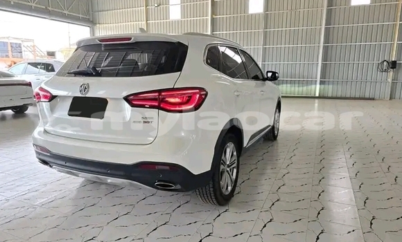 Buy Used Hyundai Elantra White Car in Luang Namtha in Luang Namtha Province Buy Used Hyundai Elantra White Car in Luang Namtha in Luang Namtha Province