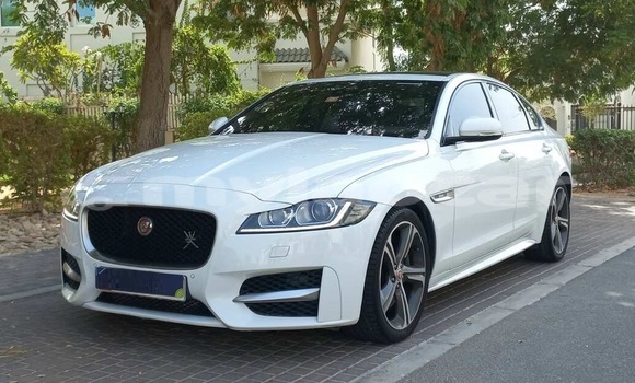 Buy Used Jaguar XF White Car in Vientiane in Vientiane Province