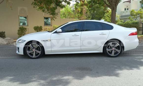 Acheter Occasion Voiture Jaguar XF Blanc à Vientiane, Vientiane Province Acheter Occasion Voiture Jaguar XF Blanc à Vientiane, Vientiane Province