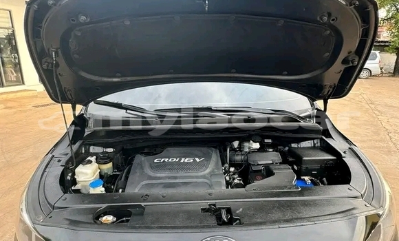 Acheter Occasion Voiture Kia Sedona Noir à Vientiane, Vientiane Province