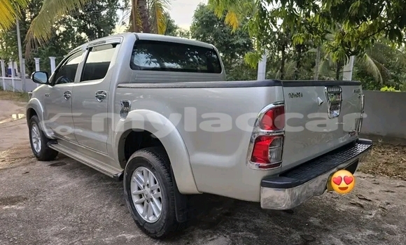 Buy Used Toyota Vigo Other Car in Luang Namtha in Luang Namtha Province Buy Used Toyota Vigo Other Car in Luang Namtha in Luang Namtha Province