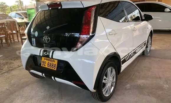 ຊື້ ໃຊ້ແລ້ວ Toyota Echo White ລົດ ໃນ Vientiane ໃນ Vientiane Province ຊື້ ໃຊ້ແລ້ວ Toyota Echo White ລົດ ໃນ Vientiane ໃນ Vientiane Province
