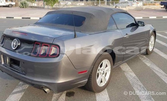 Buy Import Ford Mustang Other Car in Import - Dubai in Attapeu Province Buy Import Ford Mustang Other Car in Import - Dubai in Attapeu Province