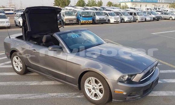 Buy Import Ford Mustang Other Car in Import - Dubai in Attapeu Province Buy Import Ford Mustang Other Car in Import - Dubai in Attapeu Province