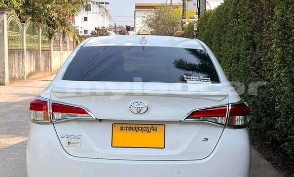 Buy Used Toyota Vios White Car in Luang Namtha in Luang Namtha Province Buy Used Toyota Vios White Car in Luang Namtha in Luang Namtha Province
