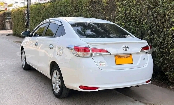 Buy Used Toyota Vios White Car in Luang Namtha in Luang Namtha Province Buy Used Toyota Vios White Car in Luang Namtha in Luang Namtha Province