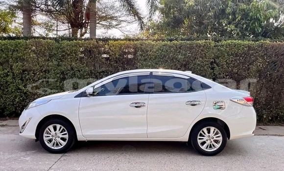 Buy Used Toyota Vios White Car in Luang Namtha in Luang Namtha Province Buy Used Toyota Vios White Car in Luang Namtha in Luang Namtha Province
