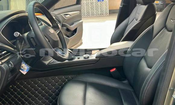 ຊື້ ໃຊ້ແລ້ວ Cadillac CTS Green ລົດ ໃນ Luang Prabang ໃນ Louangphabang Province ຊື້ ໃຊ້ແລ້ວ Cadillac CTS Green ລົດ ໃນ Luang Prabang ໃນ Louangphabang Province