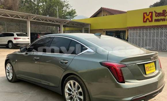 ຊື້ ໃຊ້ແລ້ວ Cadillac CTS Green ລົດ ໃນ Luang Prabang ໃນ Louangphabang Province ຊື້ ໃຊ້ແລ້ວ Cadillac CTS Green ລົດ ໃນ Luang Prabang ໃນ Louangphabang Province