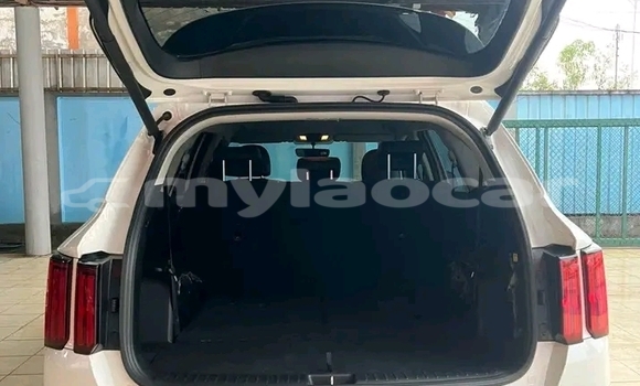 Buy Used Kia Sorento White Car in Luang Namtha in Luang Namtha Province Buy Used Kia Sorento White Car in Luang Namtha in Luang Namtha Province
