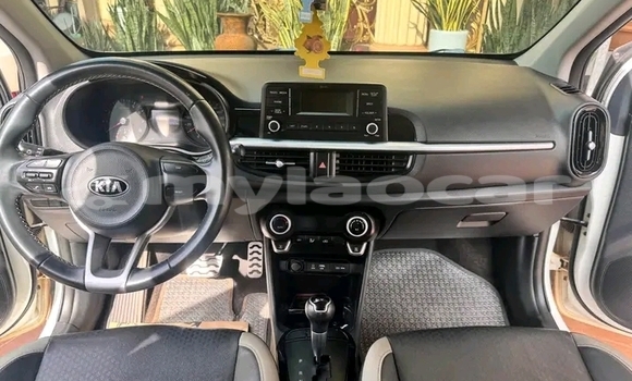 Buy Used Kia Morning White Car in Import - Dubai in Attapeu Province