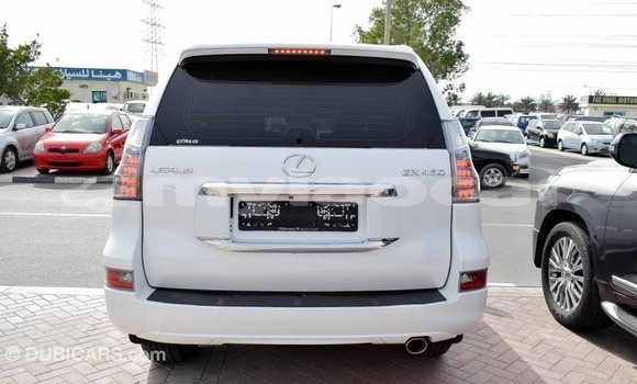 Buy Import Lexus GX White Car in Import - Dubai in Attapeu Province Buy Import Lexus GX White Car in Import - Dubai in Attapeu Province