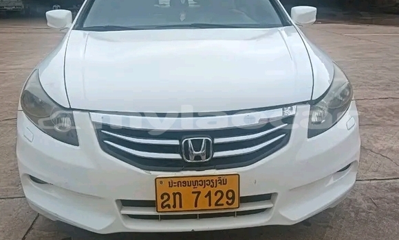 Buy Used Honda Accord White Car in Attapeu in Attapeu Province Buy Used Honda Accord White Car in Attapeu in Attapeu Province