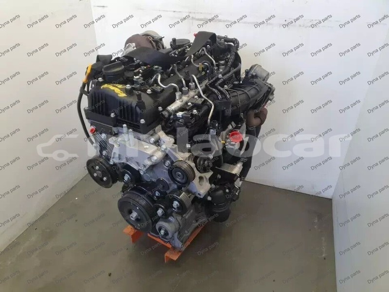 Big with watermark 3