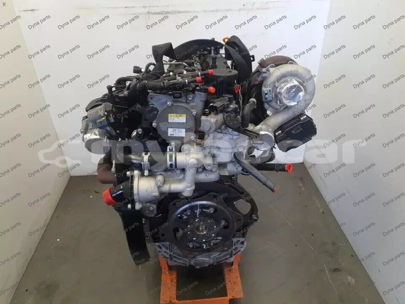 Big with watermark 6