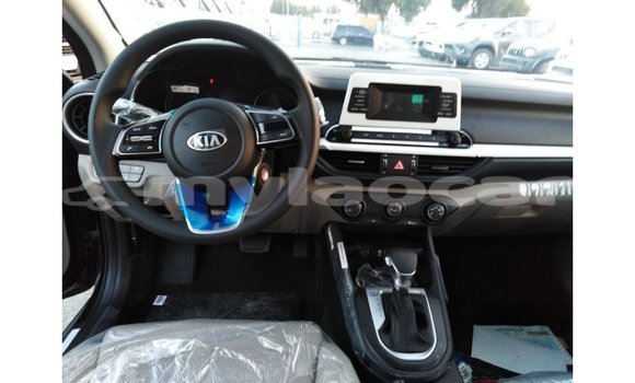 Buy Import Kia Cerato Black Car in Import - Dubai in Attapeu Province Buy Import Kia Cerato Black Car in Import - Dubai in Attapeu Province