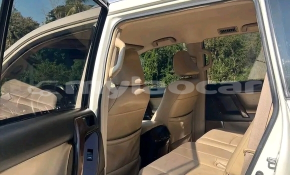 Buy Used Toyota Prado White Car in Vientiane in Vientiane Province