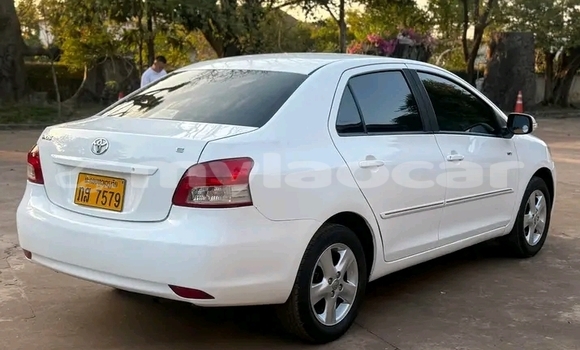 Buy Used Toyota Vios White Car in Vientiane in Vientiane Province Buy Used Toyota Vios White Car in Vientiane in Vientiane Province