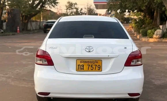 Buy Used Toyota Vios White Car in Vientiane in Vientiane Province Buy Used Toyota Vios White Car in Vientiane in Vientiane Province
