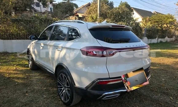 Buy Used Lexus LS White Car in Thakek in Khammouan Province Buy Used Lexus LS White Car in Thakek in Khammouan Province