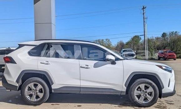 Buy Used Toyota RAV4 White Car in Luang Namtha in Luang Namtha Province Buy Used Toyota RAV4 White Car in Luang Namtha in Luang Namtha Province