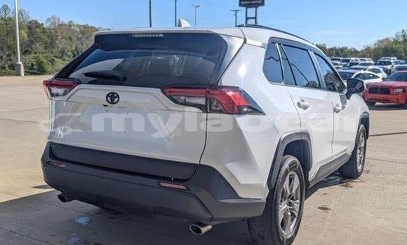 Buy Used Toyota RAV4 White Car in Luang Namtha in Luang Namtha Province Buy Used Toyota RAV4 White Car in Luang Namtha in Luang Namtha Province