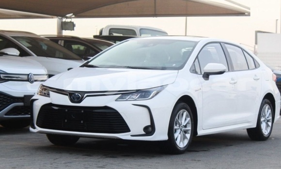 Buy Used Toyota Corolla White Car in Vientiane in Vientiane Province