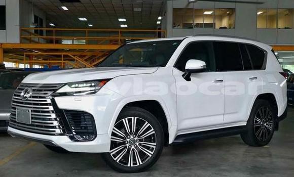 Buy Used Lexus LX White Car in Vientiane in Vientiane Province