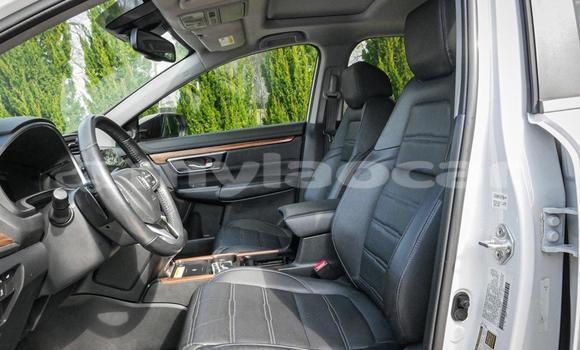 Buy Used Honda CR–V White Car in Vientiane in Vientiane Province Buy Used Honda CR–V White Car in Vientiane in Vientiane Province