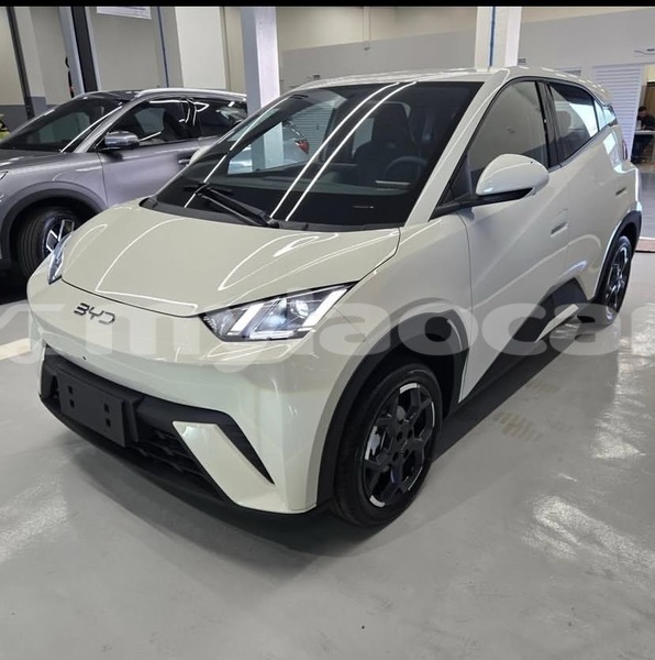 Big with watermark byd s6 vientiane province vientiane 7324