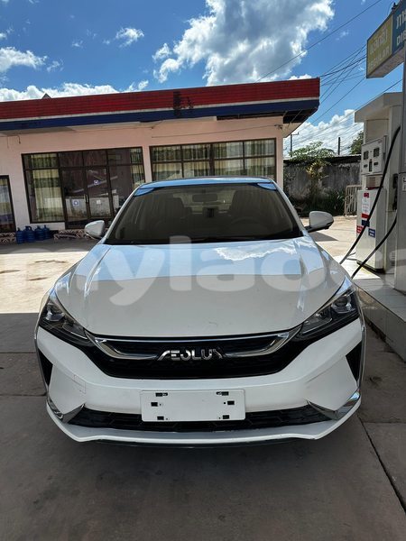 Big with watermark volkswagen beetle vientiane province vientiane 7378