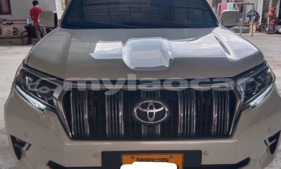 Buy Used Toyota Land Cruiser White Car in Vientiane in Vientiane Province Buy Used Toyota Land Cruiser White Car in Vientiane in Vientiane Province