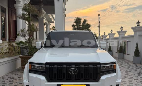 Buy Used Toyota Land Cruiser White Car in Vientiane in Vientiane Province