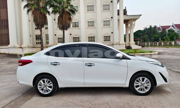 Buy Used Toyota Vios White Car in Vientiane in Vientiane Province Buy Used Toyota Vios White Car in Vientiane in Vientiane Province