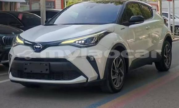 Buy Used Toyota C-HR White Car in Vientiane in Vientiane Province