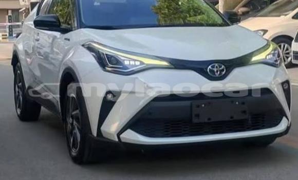 Buy Used Toyota C-HR White Car in Vientiane in Vientiane Province Buy Used Toyota C-HR White Car in Vientiane in Vientiane Province