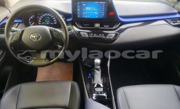 Buy Used Toyota C-HR White Car in Vientiane in Vientiane Province Buy Used Toyota C-HR White Car in Vientiane in Vientiane Province