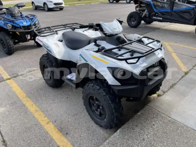 Big with watermark kawasaki brute force louangphabang province luang prabang 7520