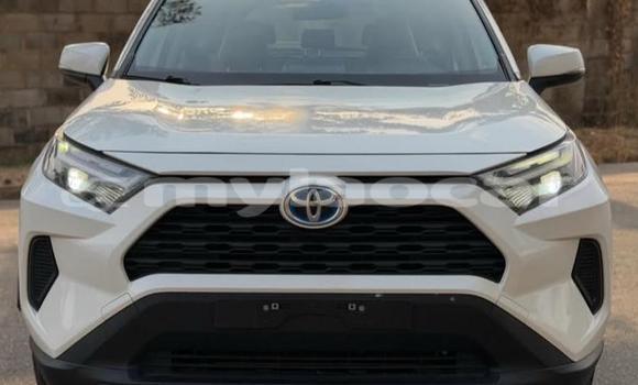 Buy Used Toyota RAV4 White Car in Vientiane in Vientiane Province