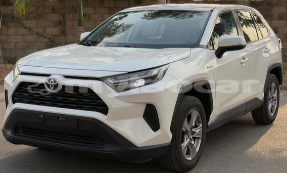 Buy Used Toyota RAV4 White Car in Vientiane in Vientiane Province Buy Used Toyota RAV4 White Car in Vientiane in Vientiane Province