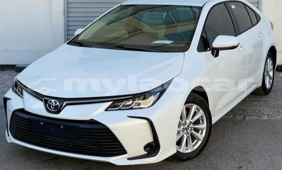 Buy Used Toyota Corolla White Car in Vientiane in Vientiane Province