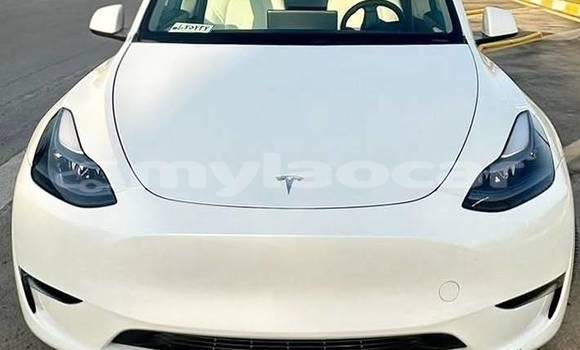 Buy Used Tesla Model X White Car in Vientiane in Vientiane Province