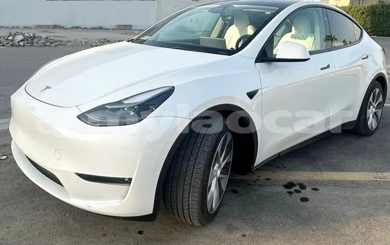 Big with watermark tesla model x vientiane province vientiane 7593