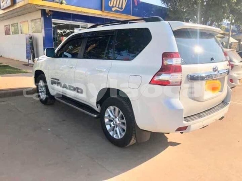 Big with watermark 51437978 412743112830652 1078921868091588608 n