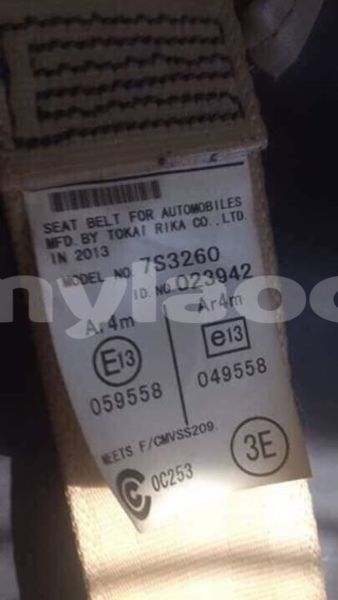 Big with watermark 51987029 412743349497295 8812232396909838336 n