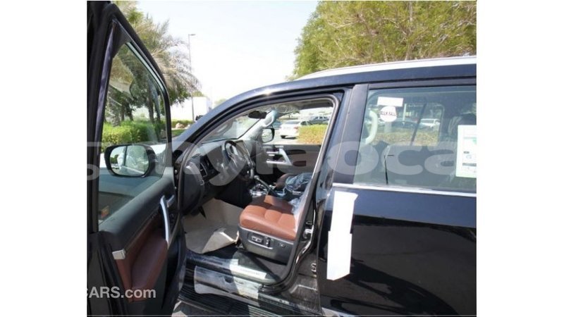 Big with watermark 06ee31b1 9d7c 4579 9bb4 06bb4f3042e9