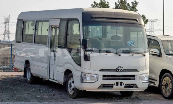 Buy Import Toyota Coaster White Car in Import - Dubai in Attapeu Province Buy Import Toyota Coaster White Car in Import - Dubai in Attapeu Province